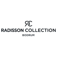 radisson blu hotel